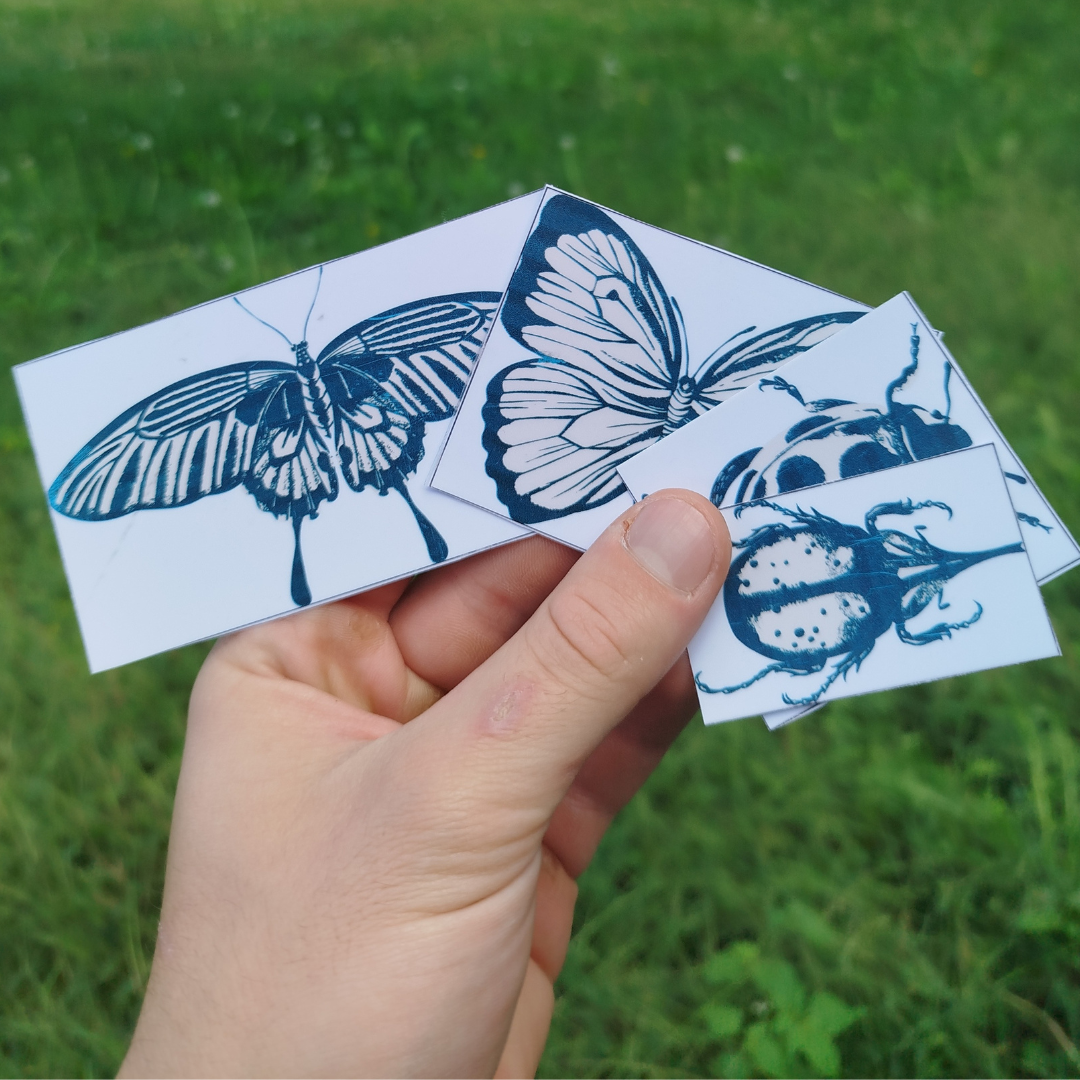 Set of insect stickers