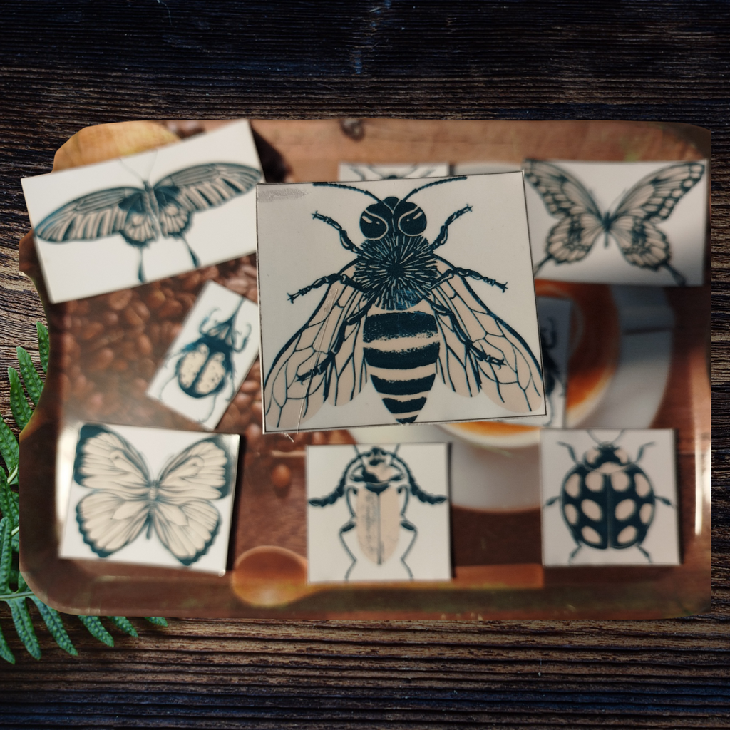 Set of insect stickers