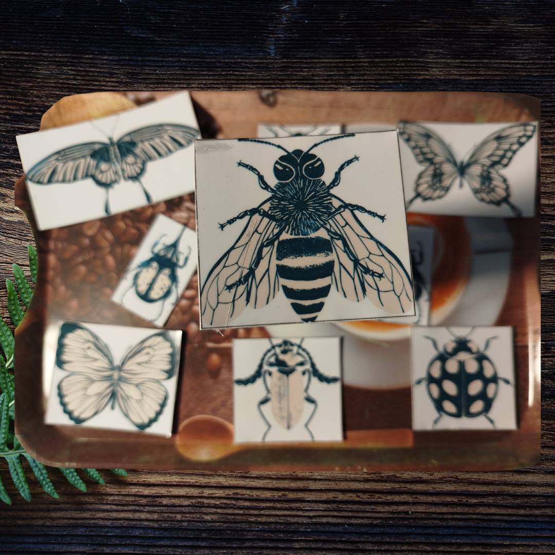 Set of insect stickers
