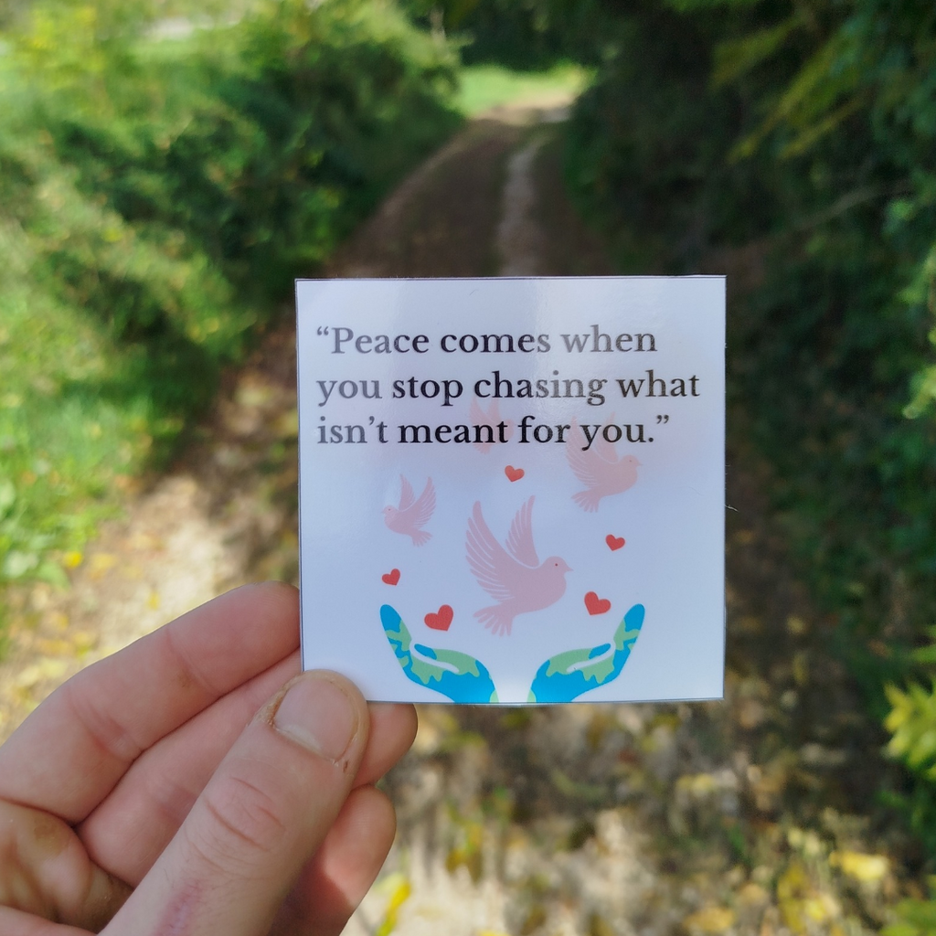 Set of 5 inspirational stickers [8x8 cm]