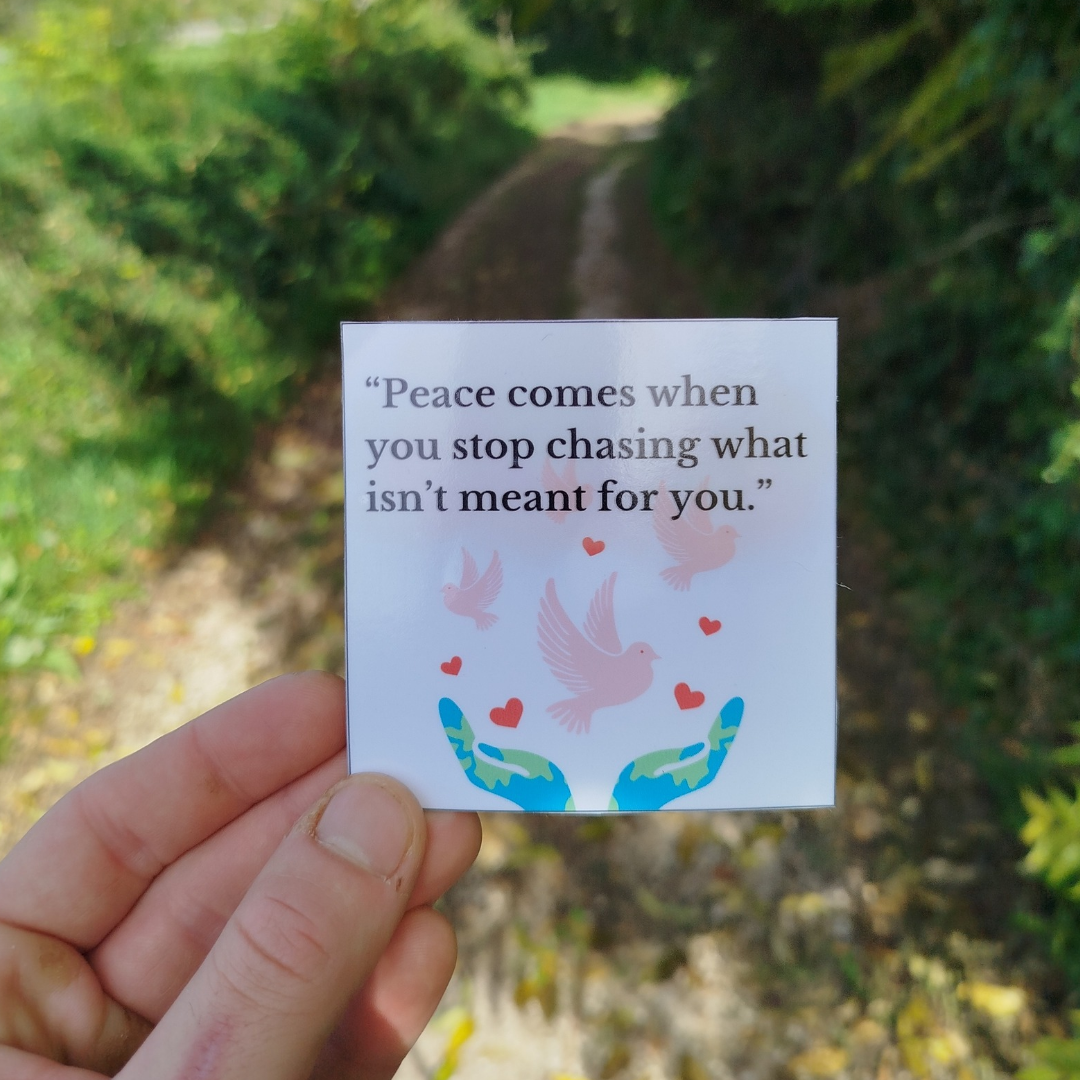 Set of 5 inspirational stickers [8x8 cm]